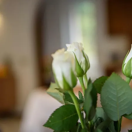 Sweet Bed & Breakfast 3*